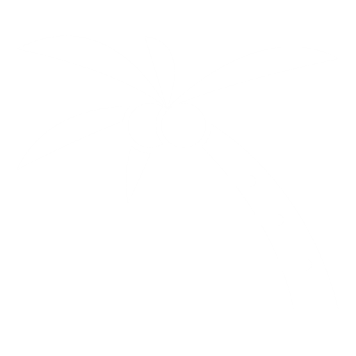 Coconut palm